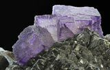 Huge Cubic Purple Fluorite on Sphalerite - Elmwood #33892-1